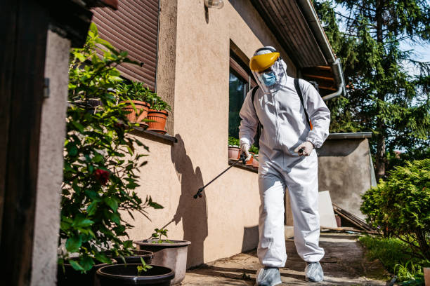 Best Mosquito Control Services  in Dublin, TX