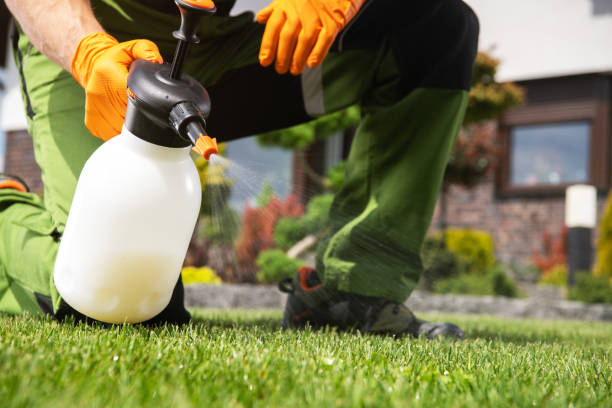 Best Wildlife Control Services  in Dublin, TX