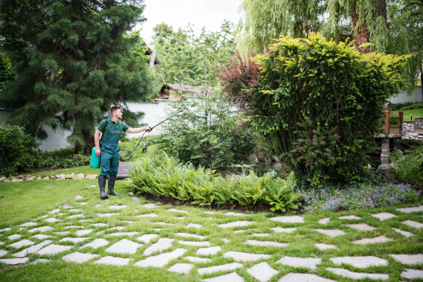 Best Best Pest Control Companies  in Dublin, TX