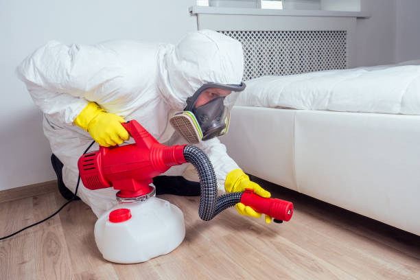 Best Residential Pest Control  in Dublin, TX