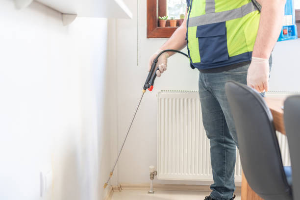 Best Mosquito Control Services  in Dublin, TX