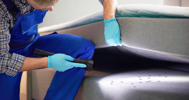 Best Pest Inspection Near Me  in Dublin, TX