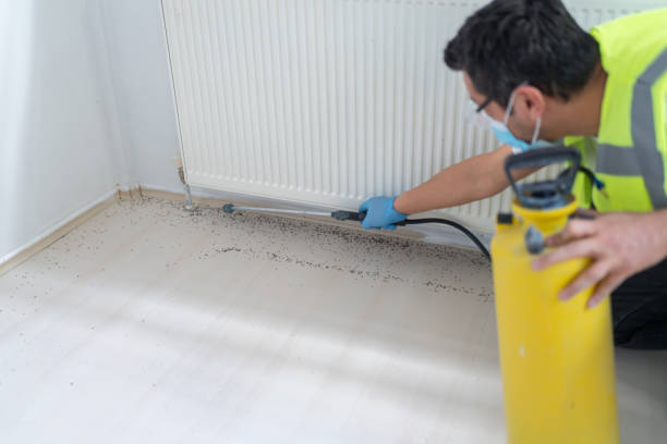 Professional Pest Control in Dublin, TX